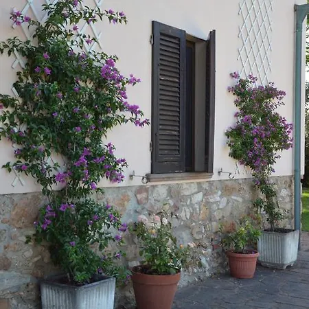 Agriturismo Masseto